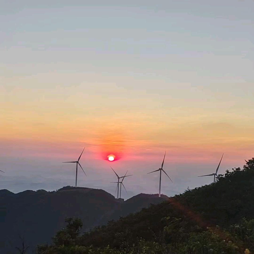 科诚物流