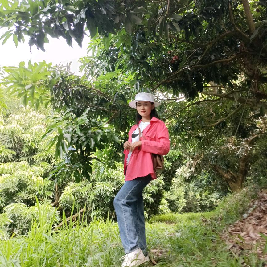 边境布朗  《依燕》