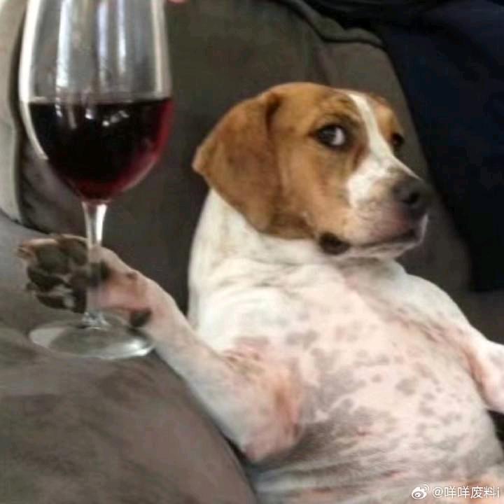 吉利小杰学长（热心学长咨询私信）