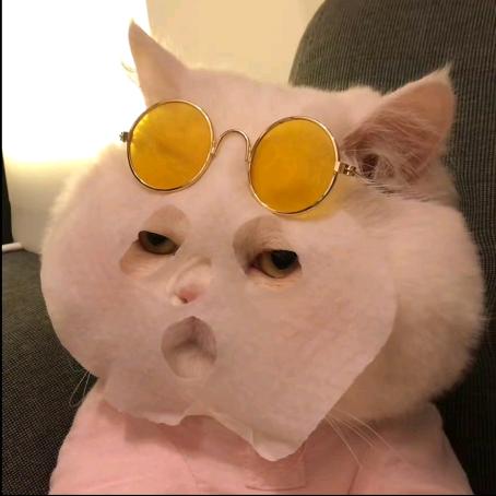 白薇