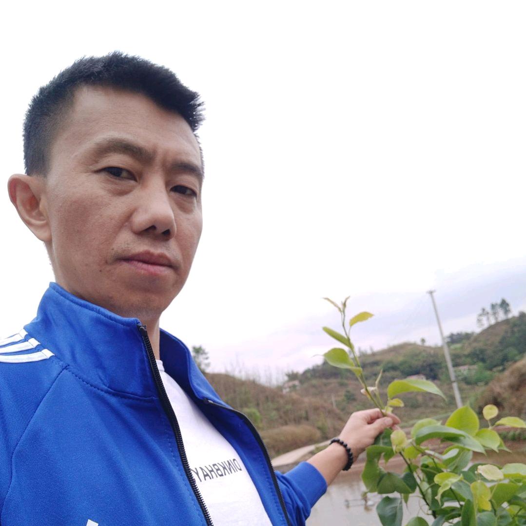 新添陈三车行(五星钻豹)