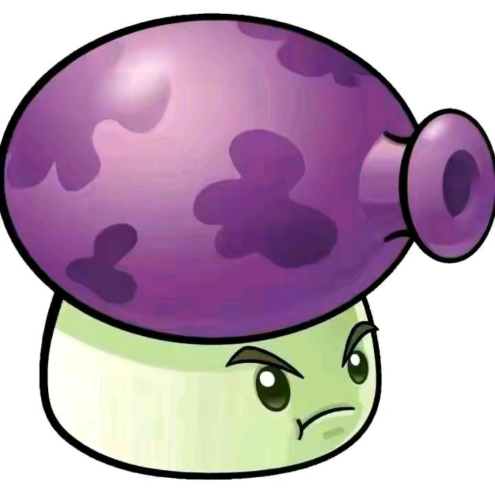 🟣🟣🟣🟣🟣🟣🟣🟣