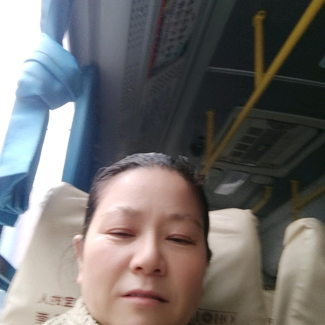 园芝