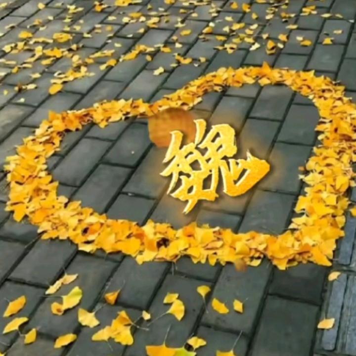 一路相伴