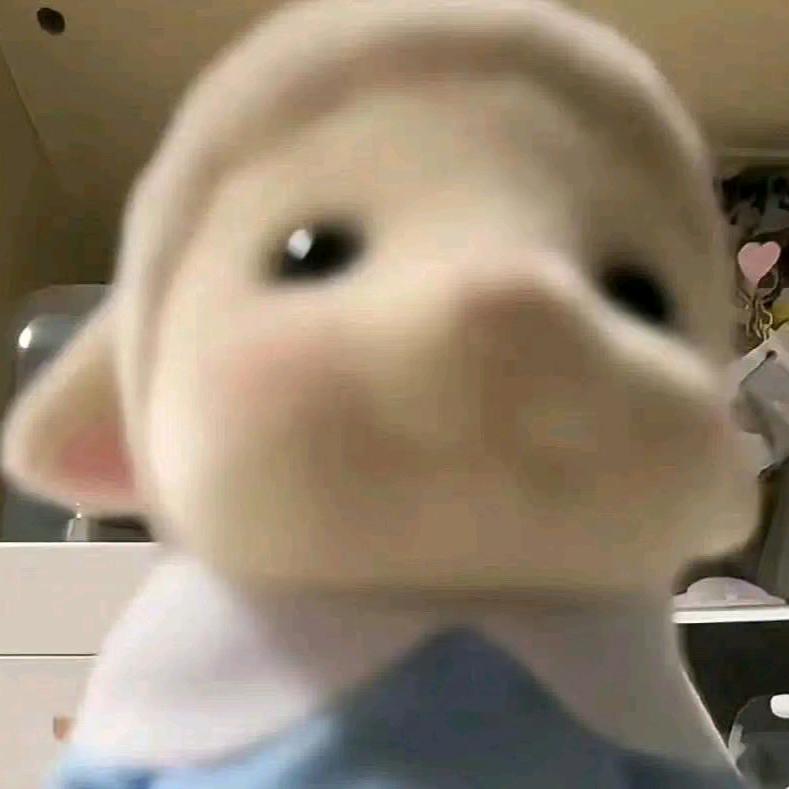 小阳爱吃清补凉（2000粉🎁）