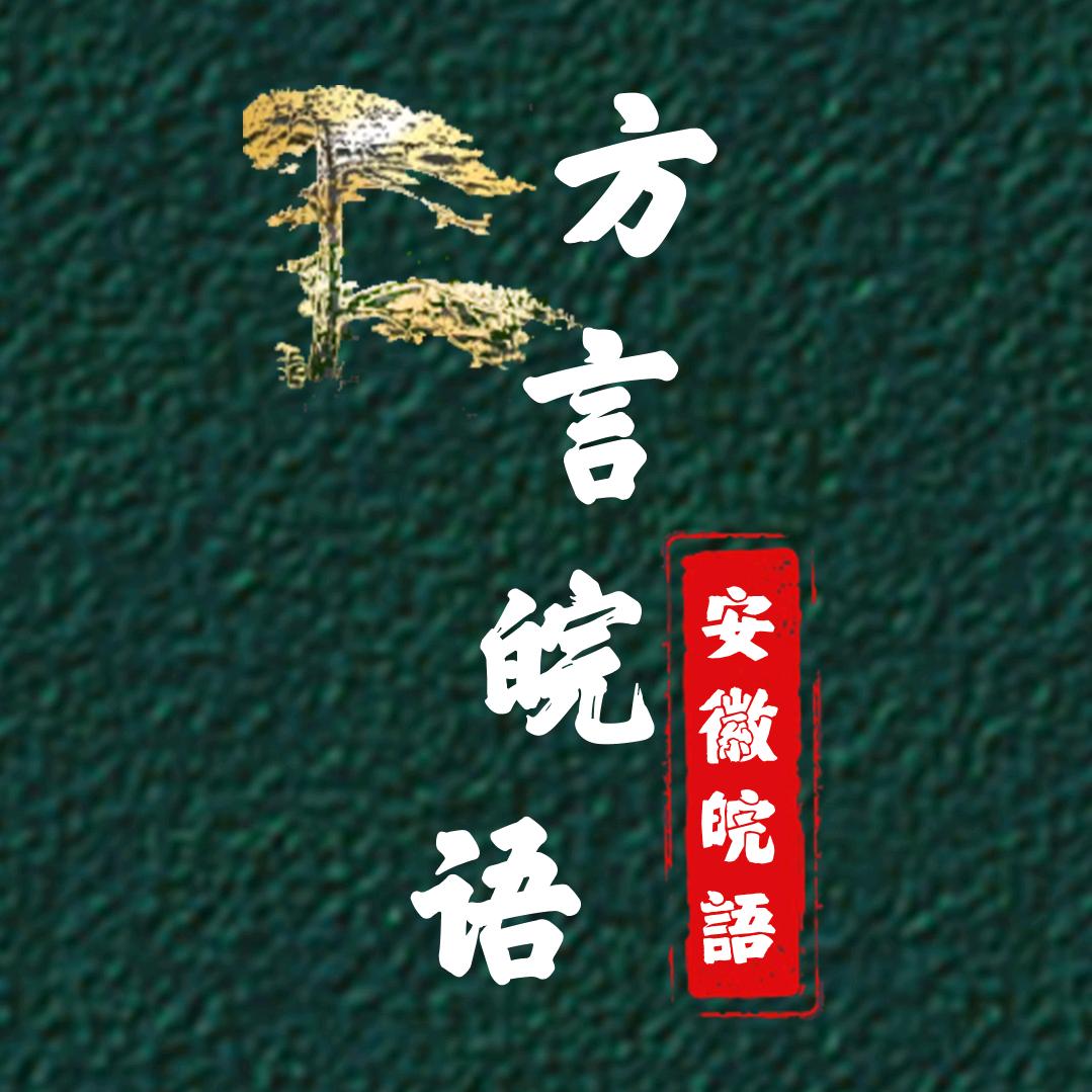 方言皖语