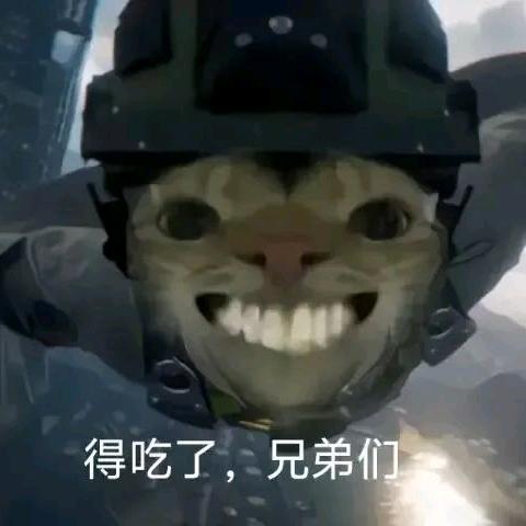 魔丸（三角洲行动跑刀版）