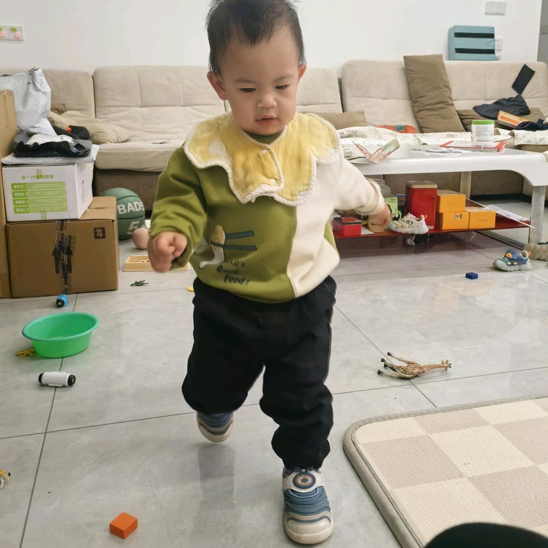 梧桐细雨