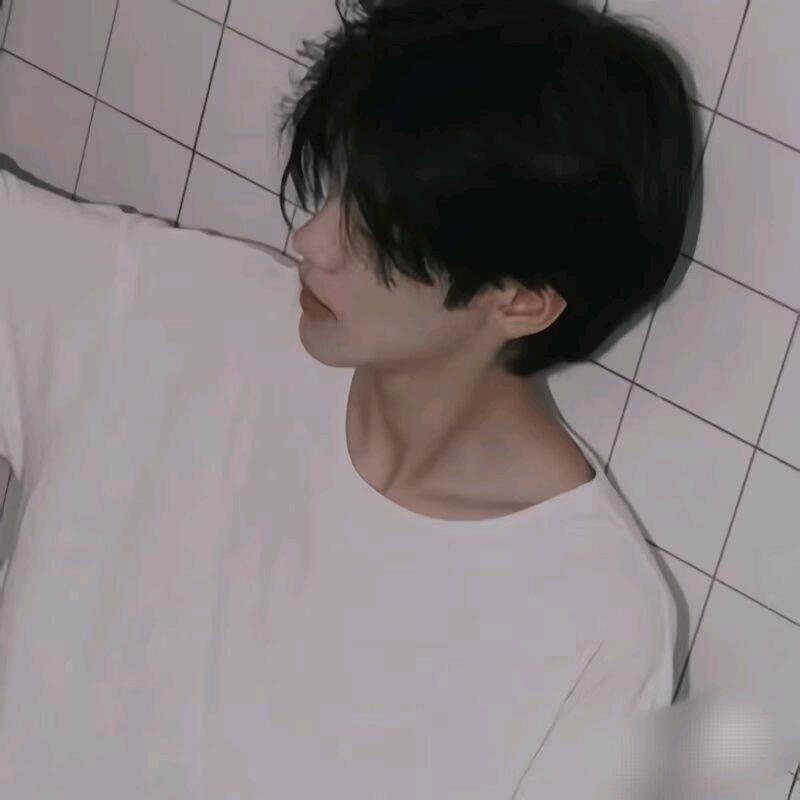 星临✨