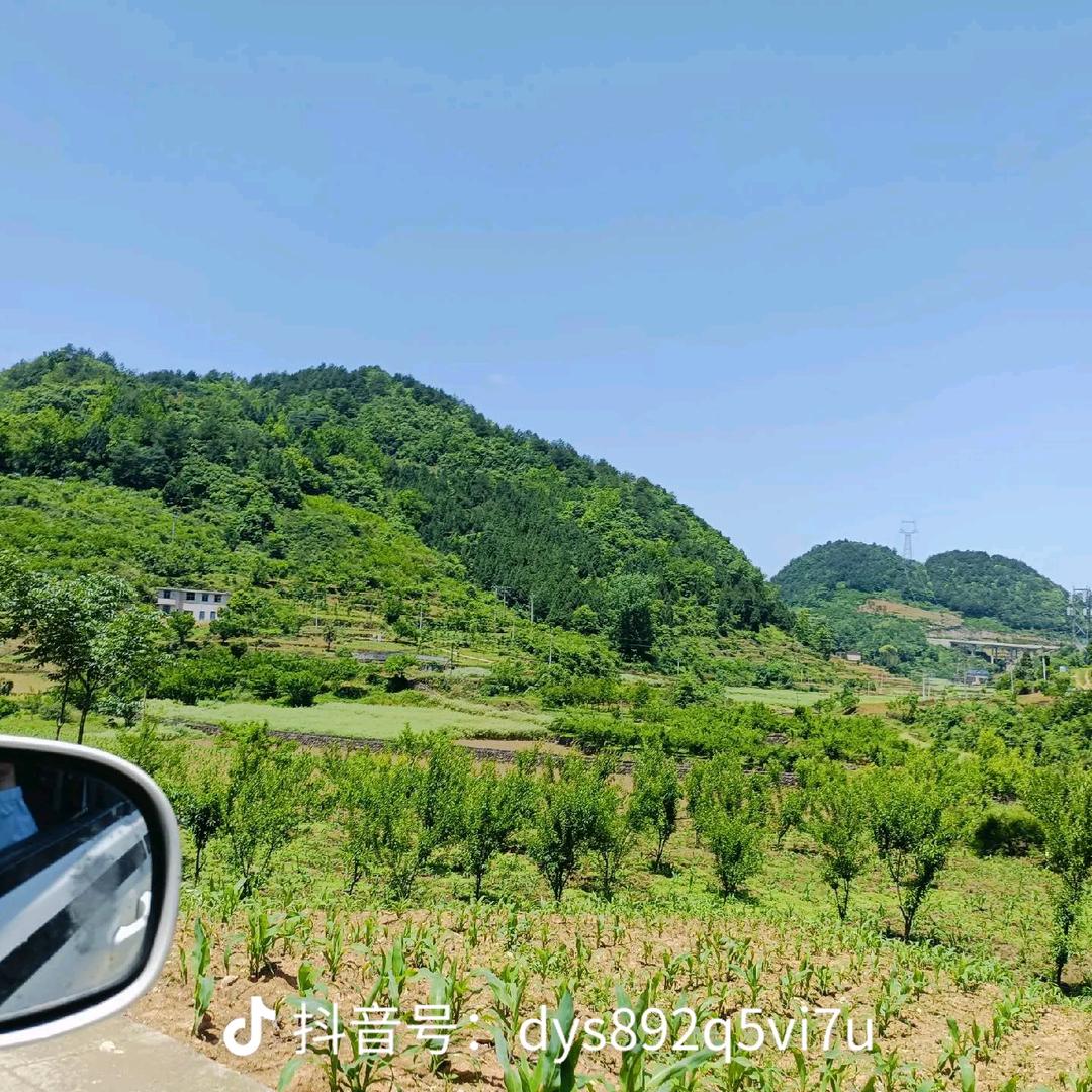 思念家乡