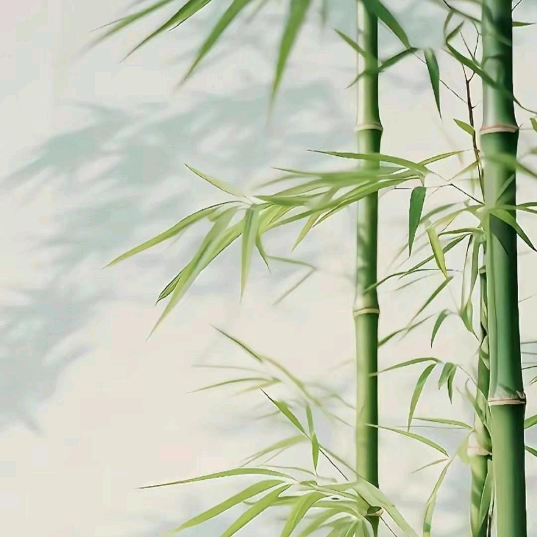 人间清醒
