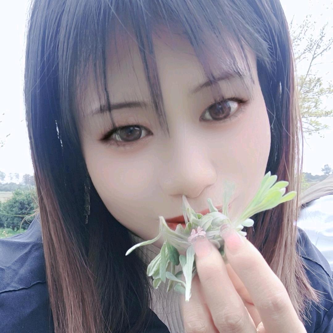 ♥四叶草🍀的小星星♥