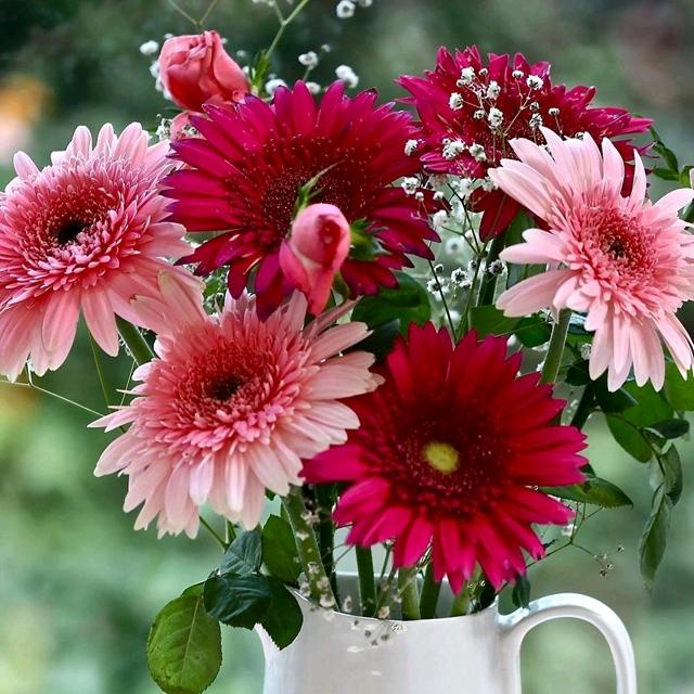 🌸人生如花🌸