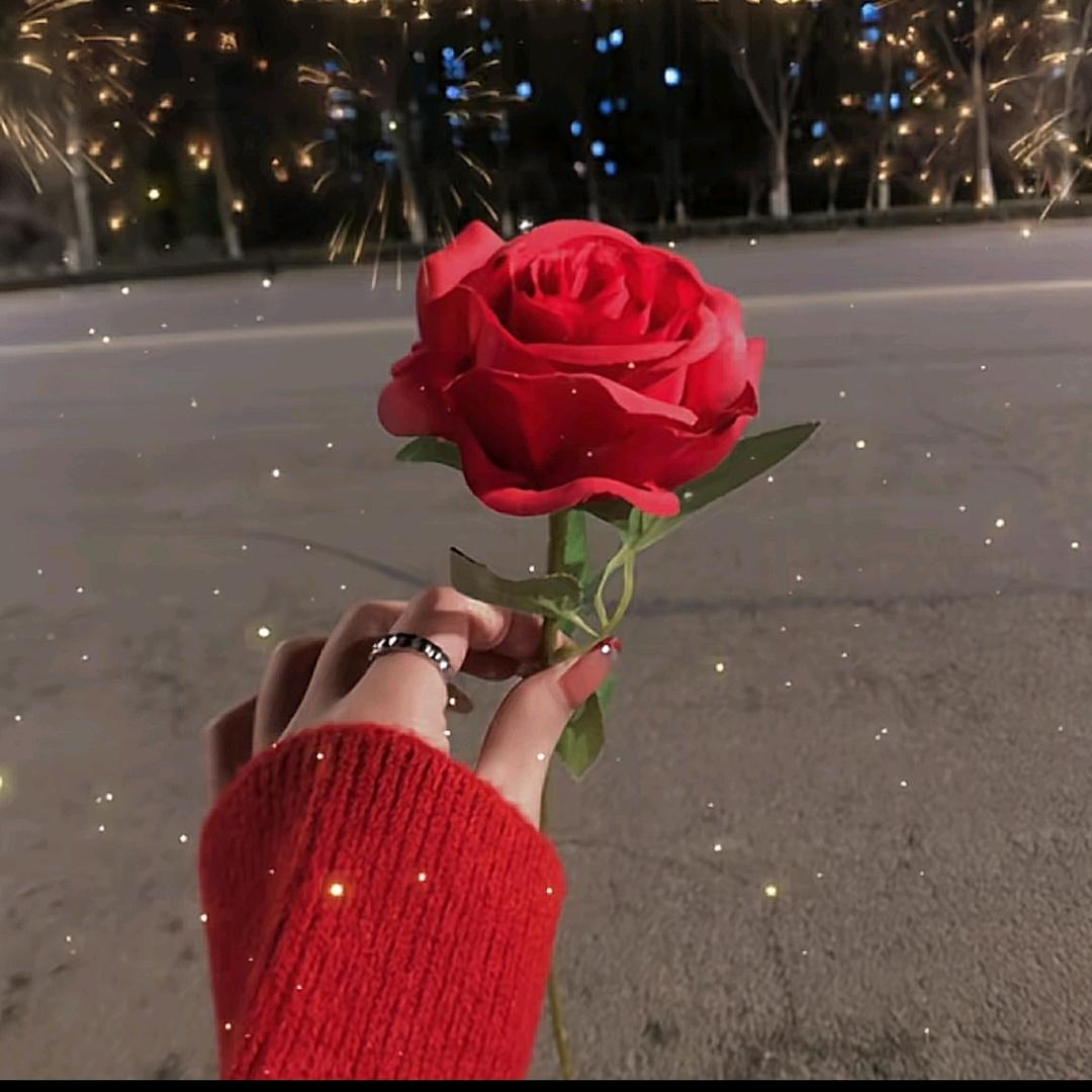 ⁵²⁰💞暖冬❤️₁₃₁₄