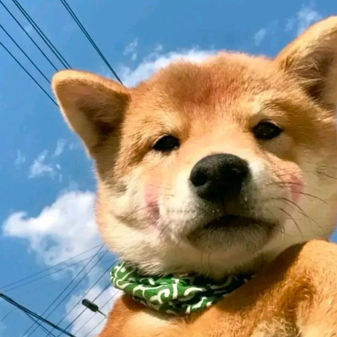 纪森