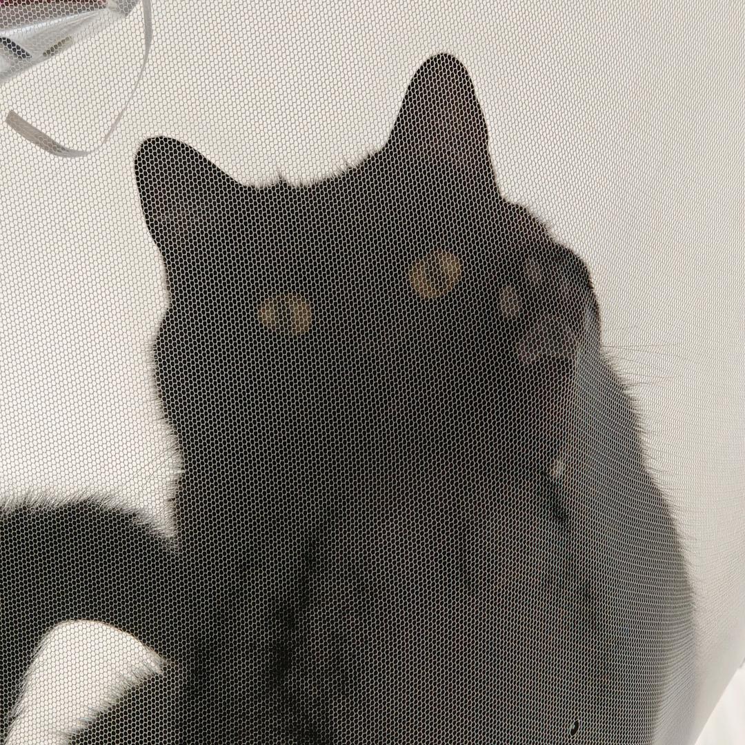 李沐团🐈🐈🐈🐈