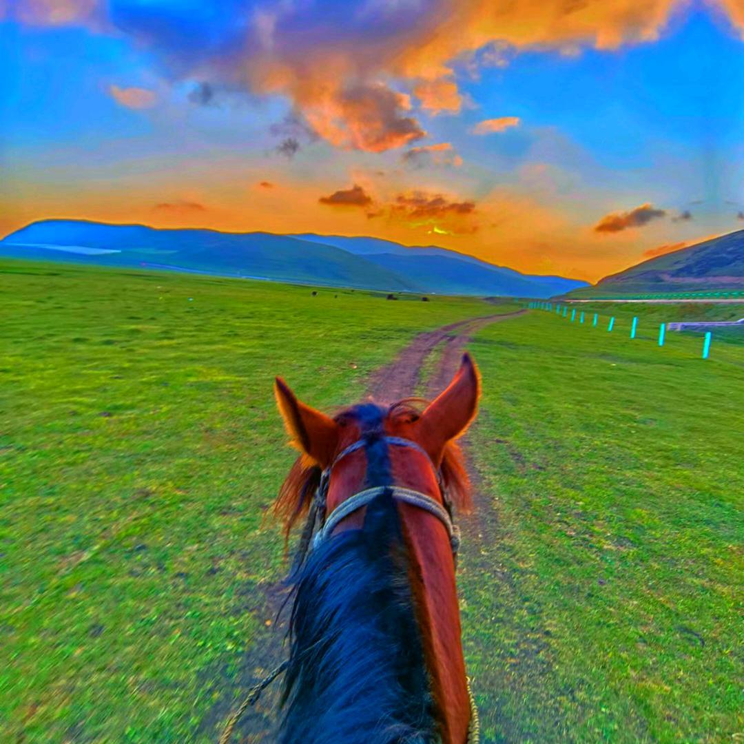 狼渡🐴业小年