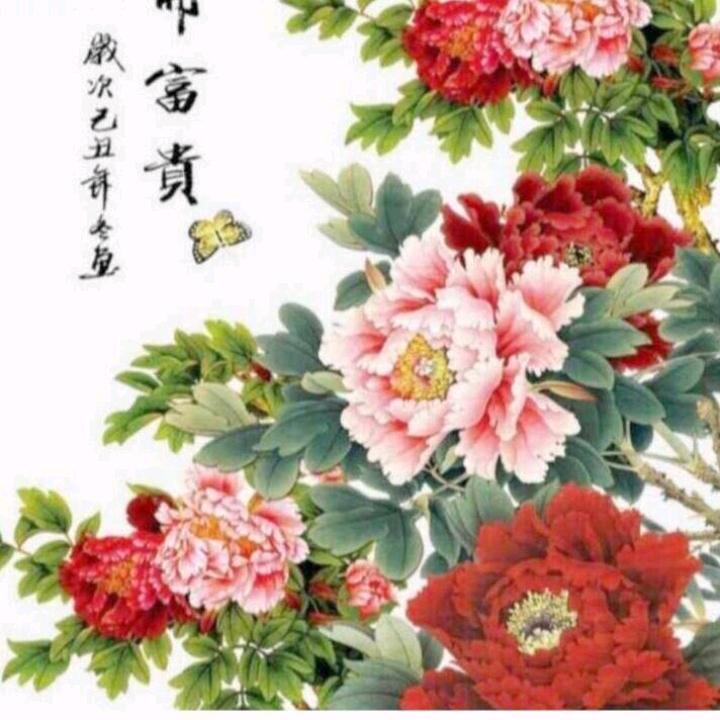 郑兴年