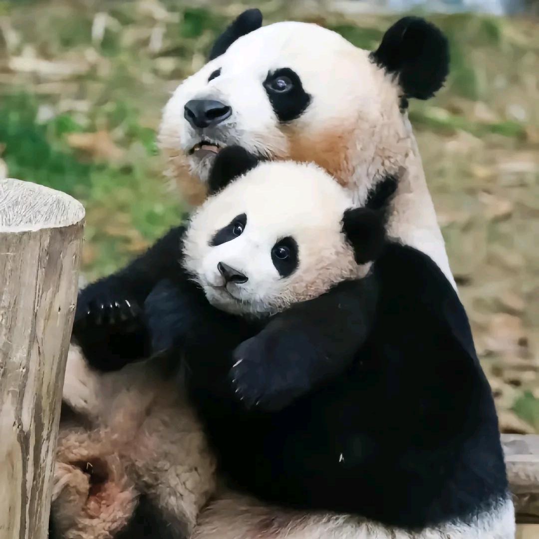 无设置