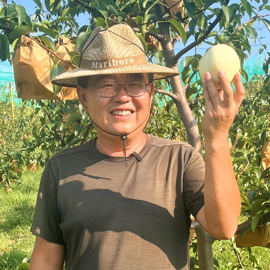 金泉家庭农场（山农酥梨老王）