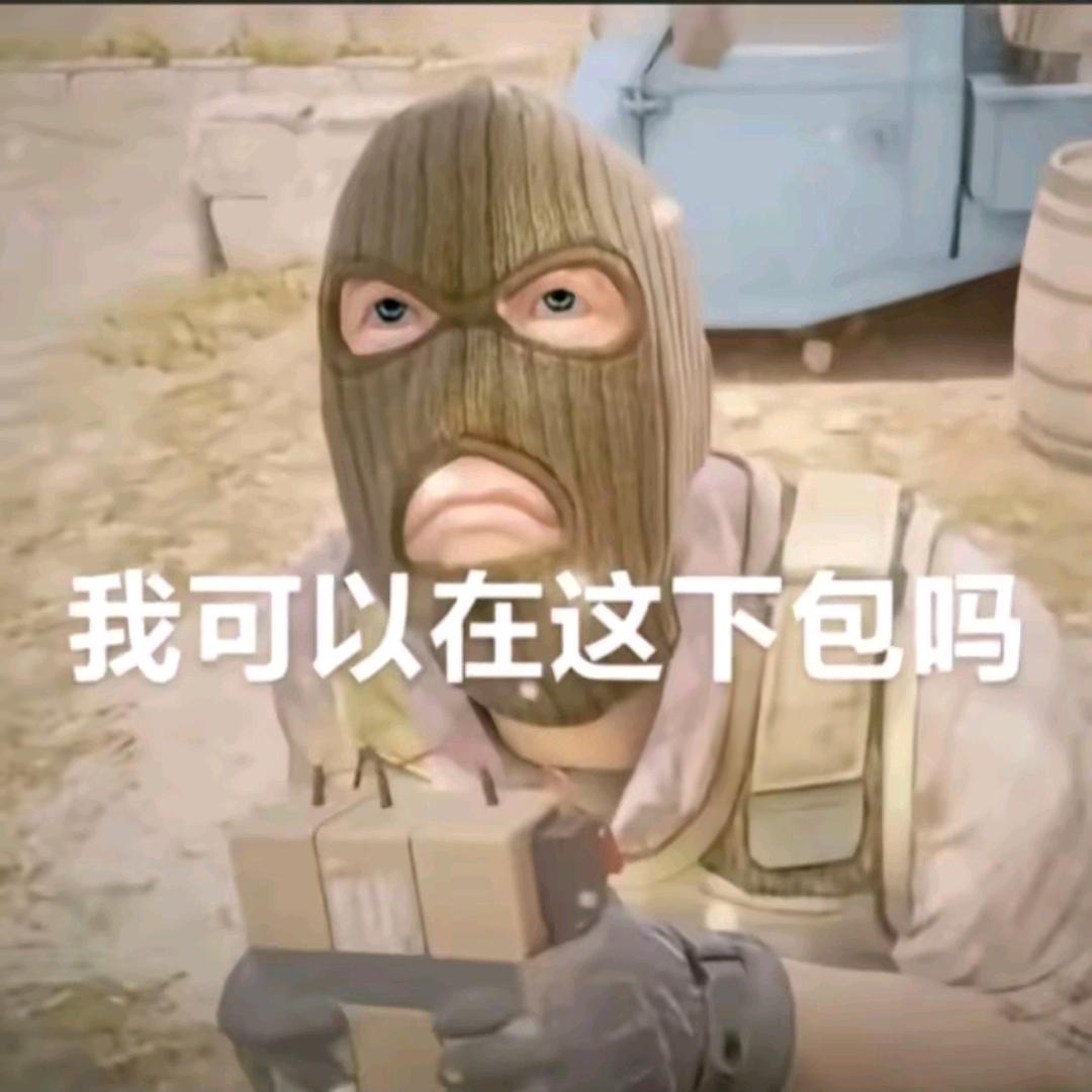 骑皮芽子的ninja400