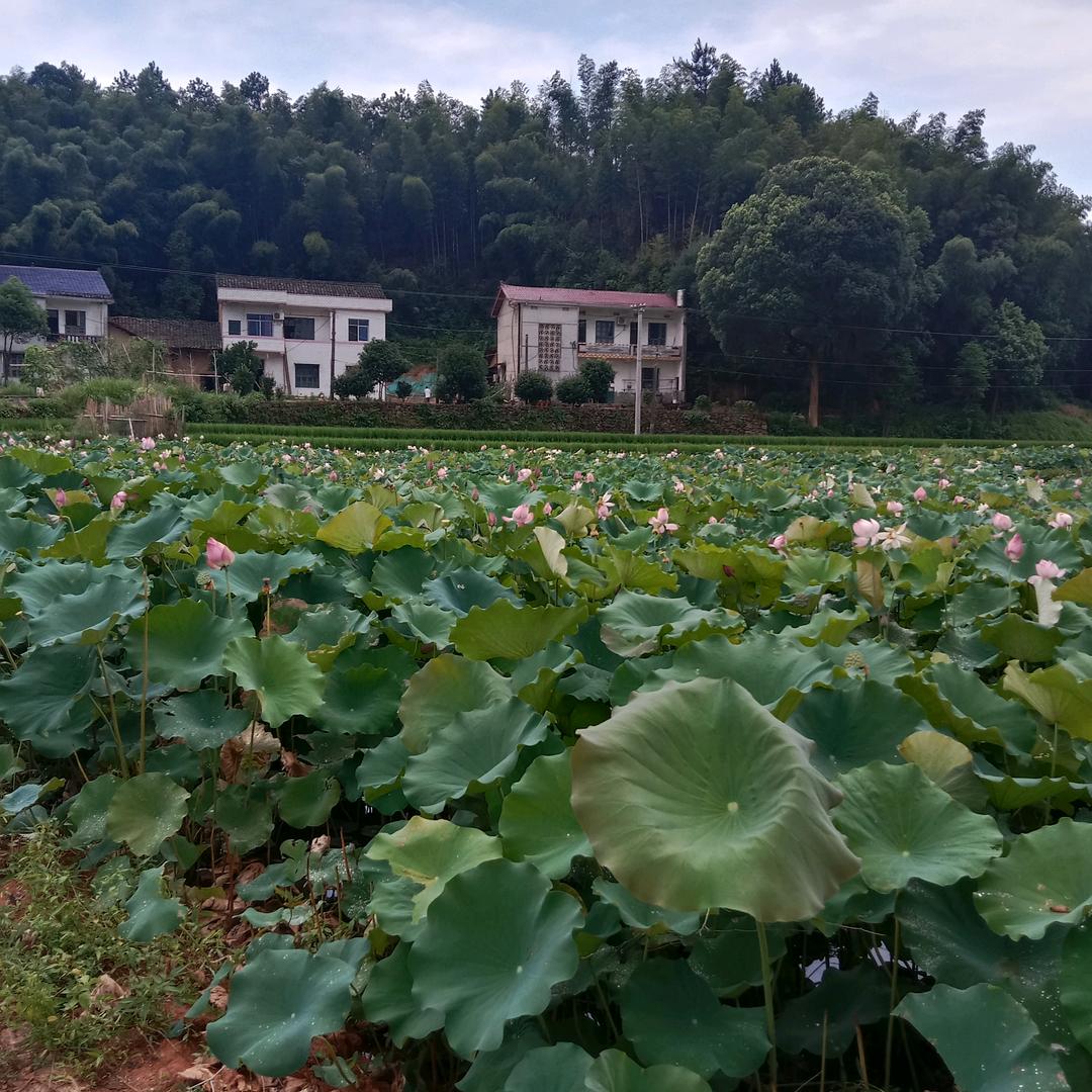 开心过好每一天