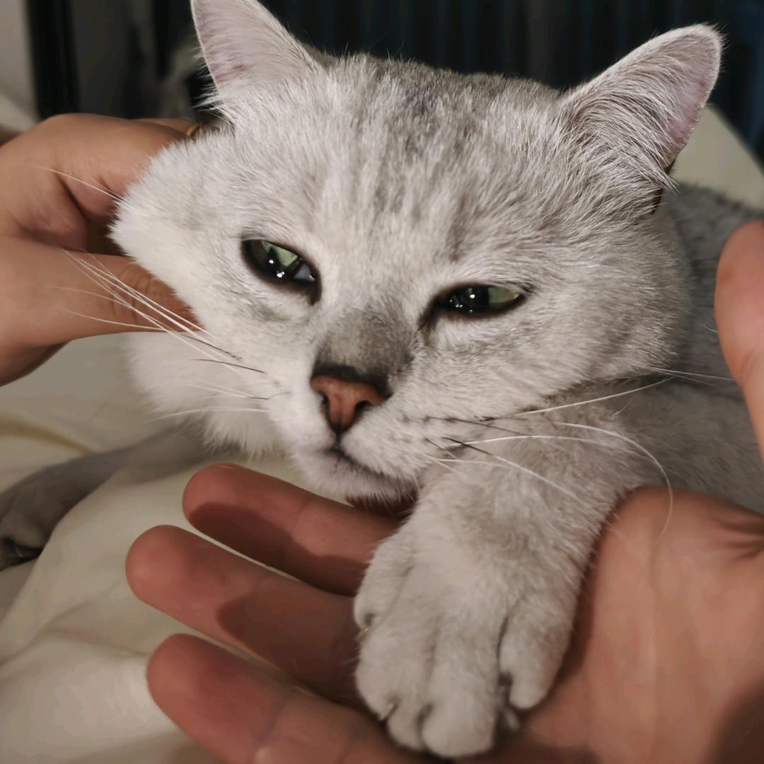 游泳杨老师