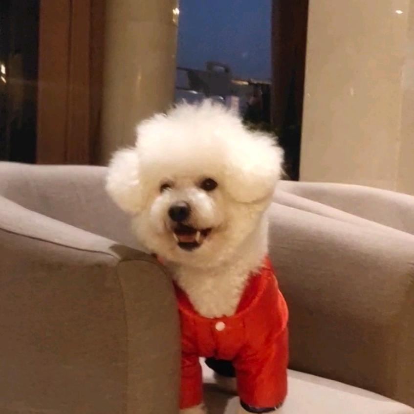 🇨🇳叶芬芳
