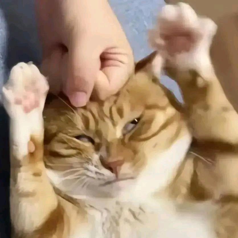 江西AD钙