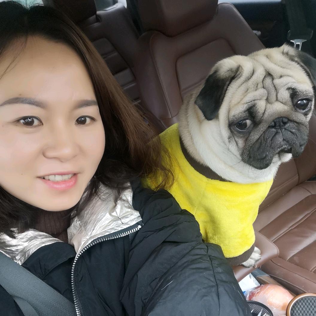 贾贾爱跳舞