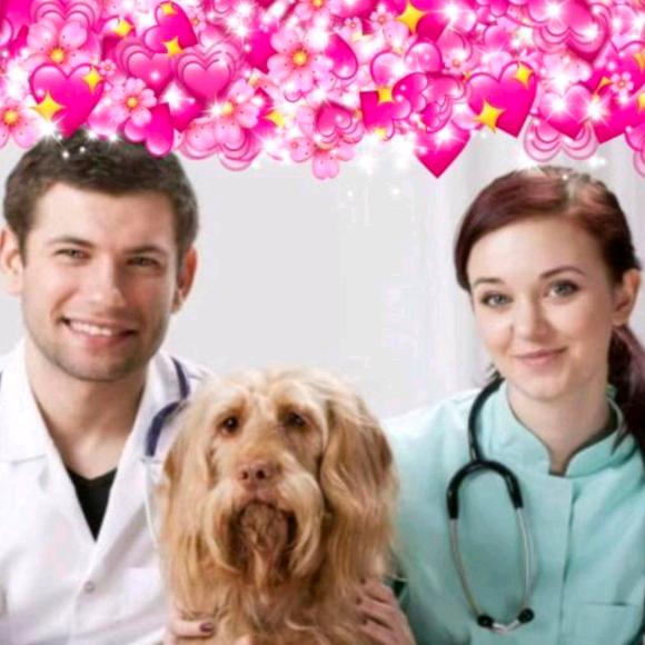 兽医张哥中西综合老师动物猫狗健康宠物讲解