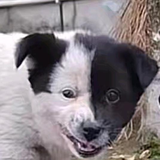 户外看片忘关声音被男拉拉闺蜜看见要绝交