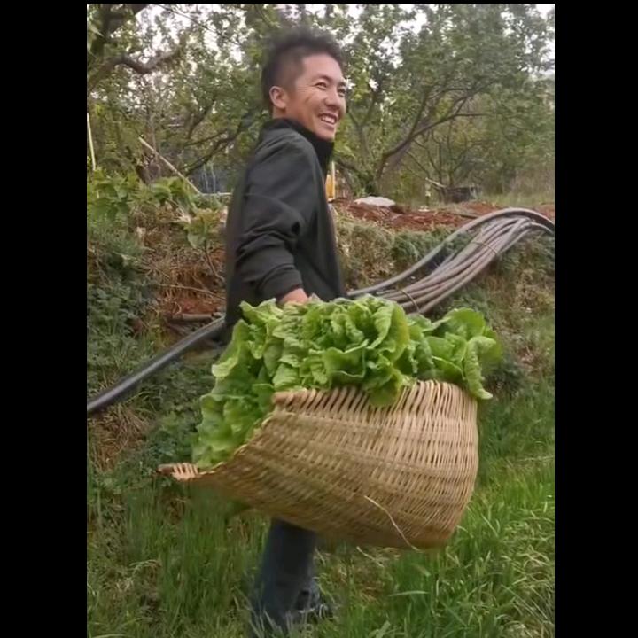 瓜哥的菜