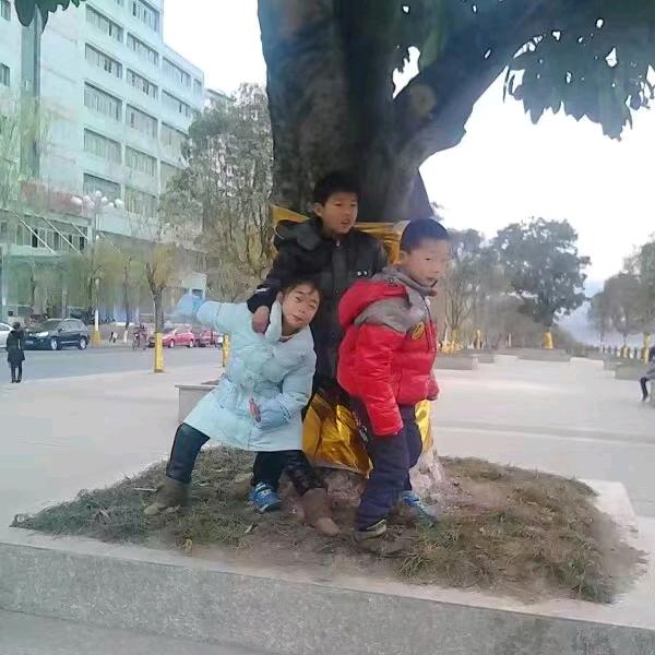 四季水果