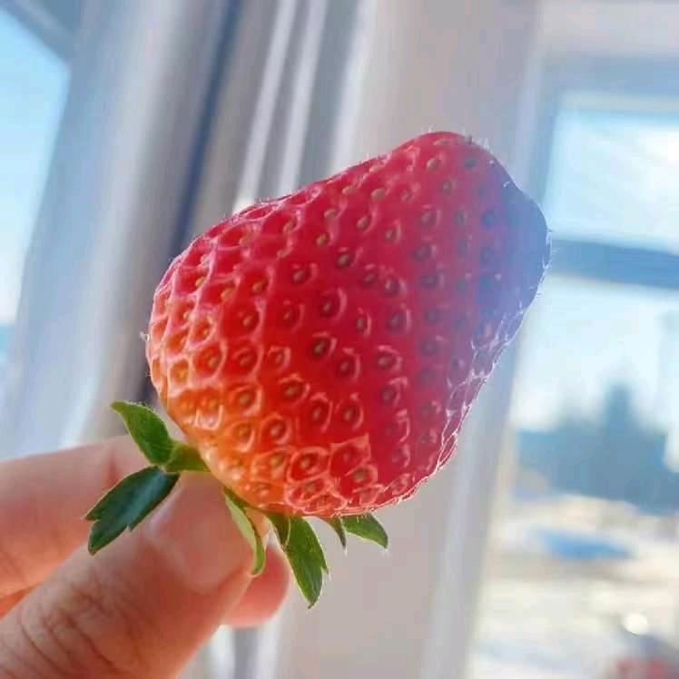 简单