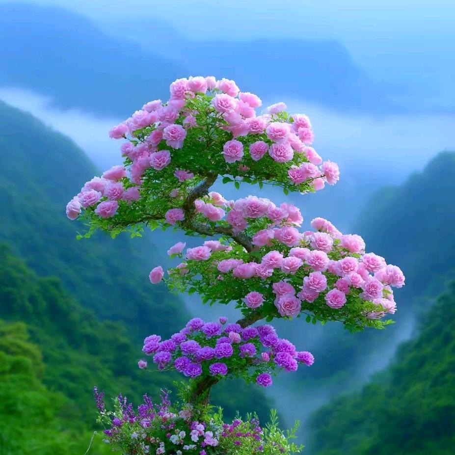 愈汇