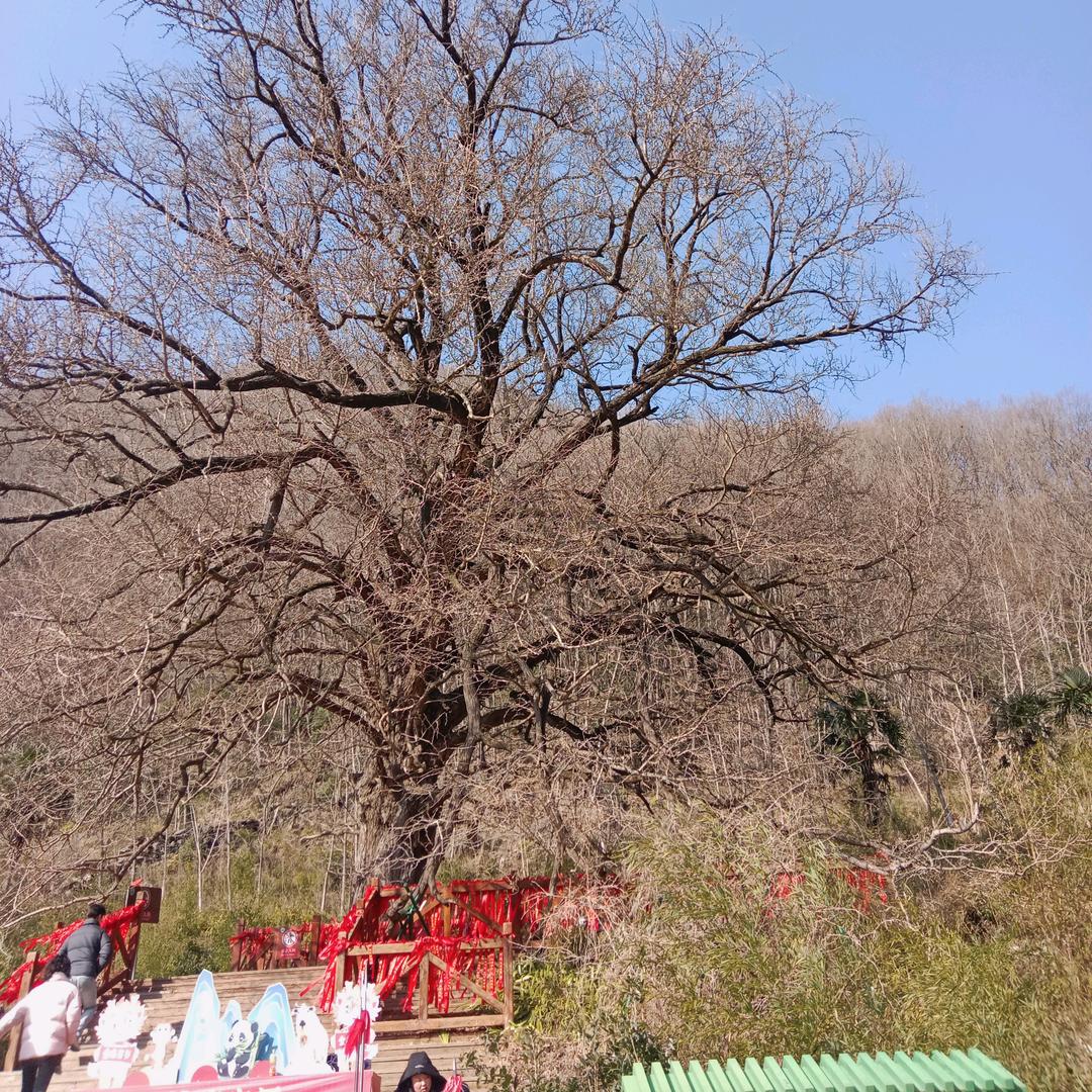 每一天都在奔跑