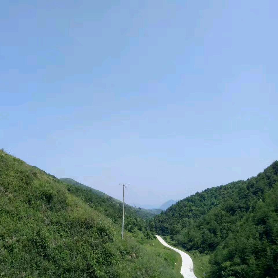 涵叔