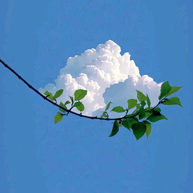 梦曦曦