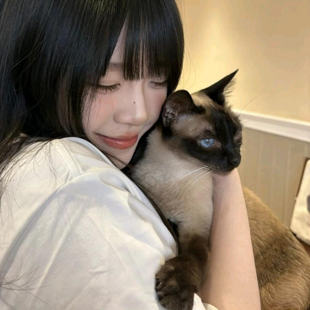 小夏💤