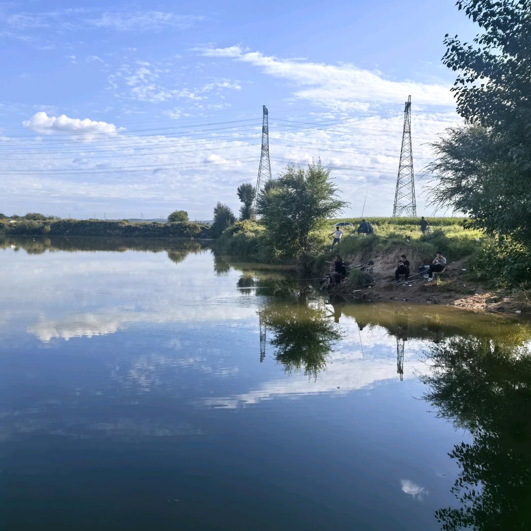 风水鱼乐
