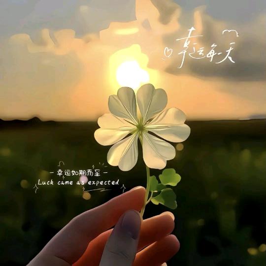 A@雾非雾💞