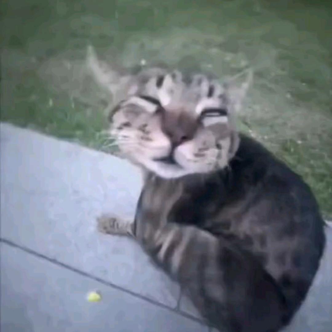 (￣～￣)⊙∀⊙