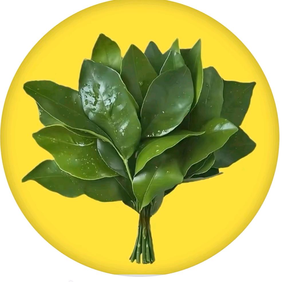 微风轻轻暖