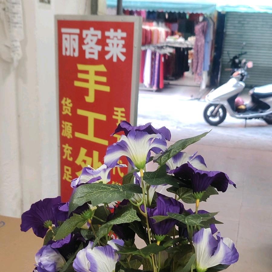 丽客莱（各种手工代理）