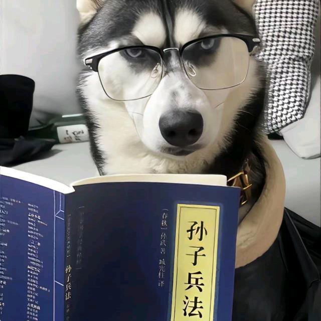 诺的(混的人)