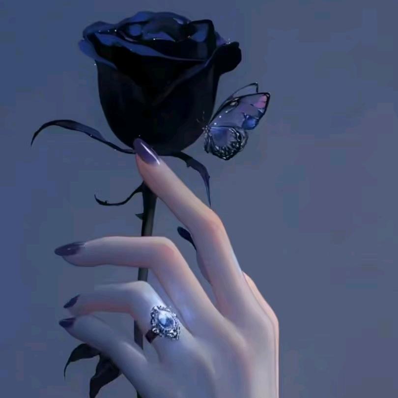 🇨🇳刺猬的优雅💥