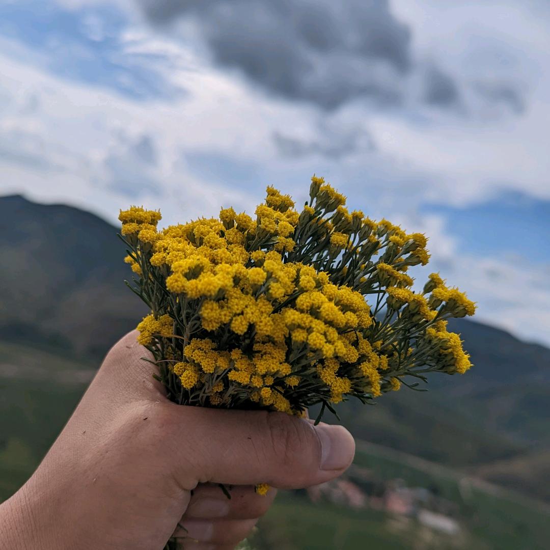 小刚分享