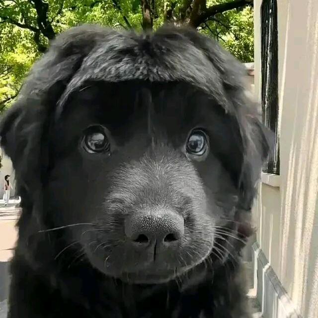 活的姜老师