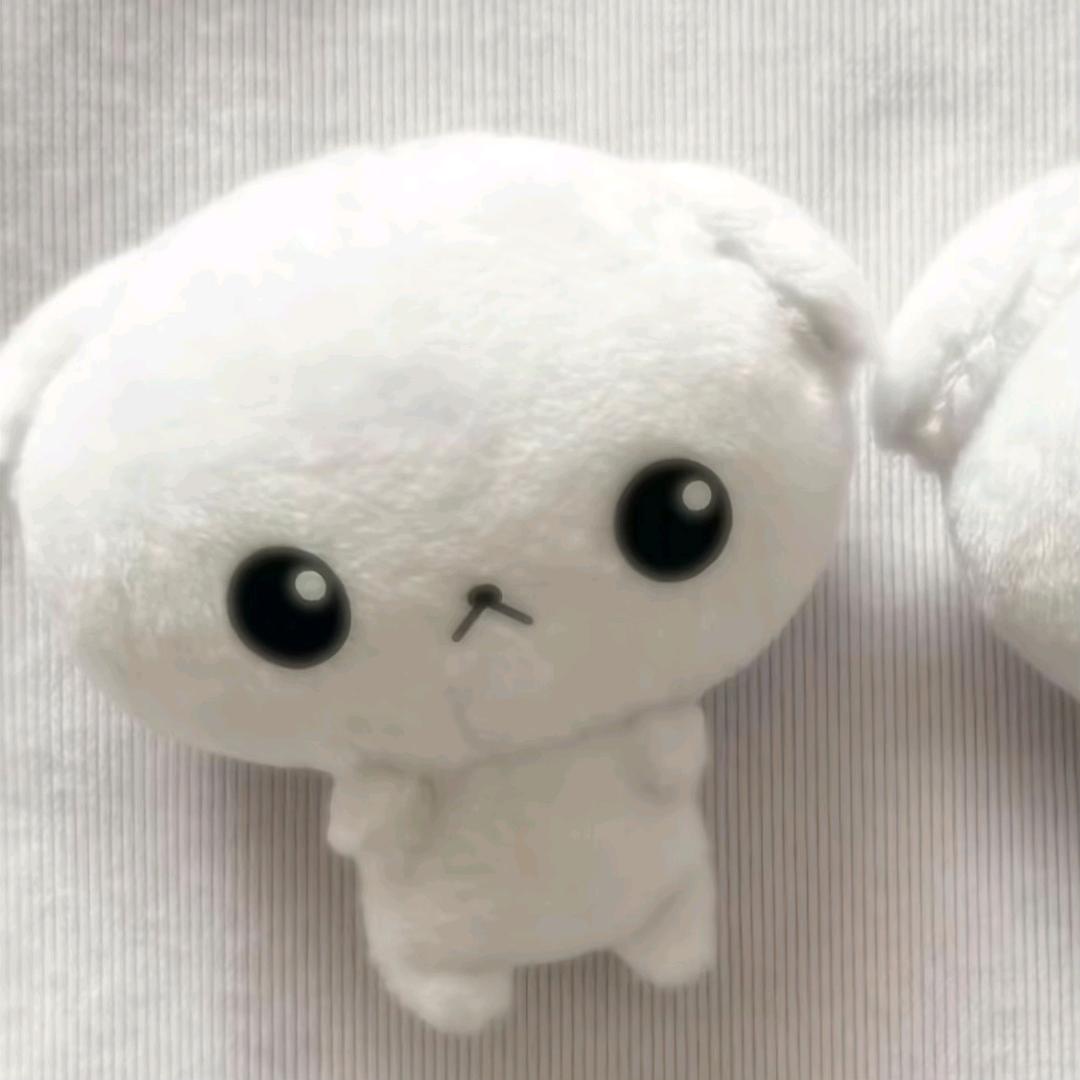 睡觉大王怎么到处睡觉
